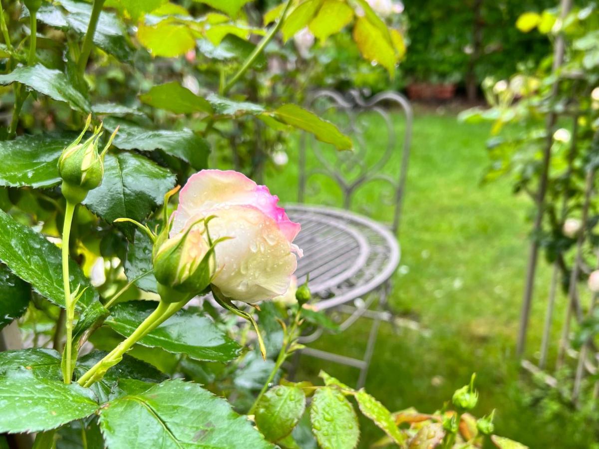 La Finestra Sul Giardino - B&B Cavedine Bagian luar foto