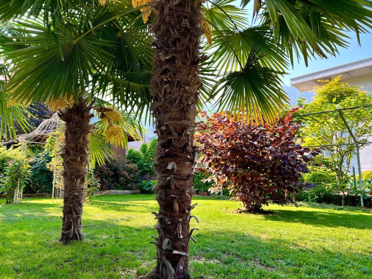 La Finestra Sul Giardino - B&B Cavedine Bagian luar foto